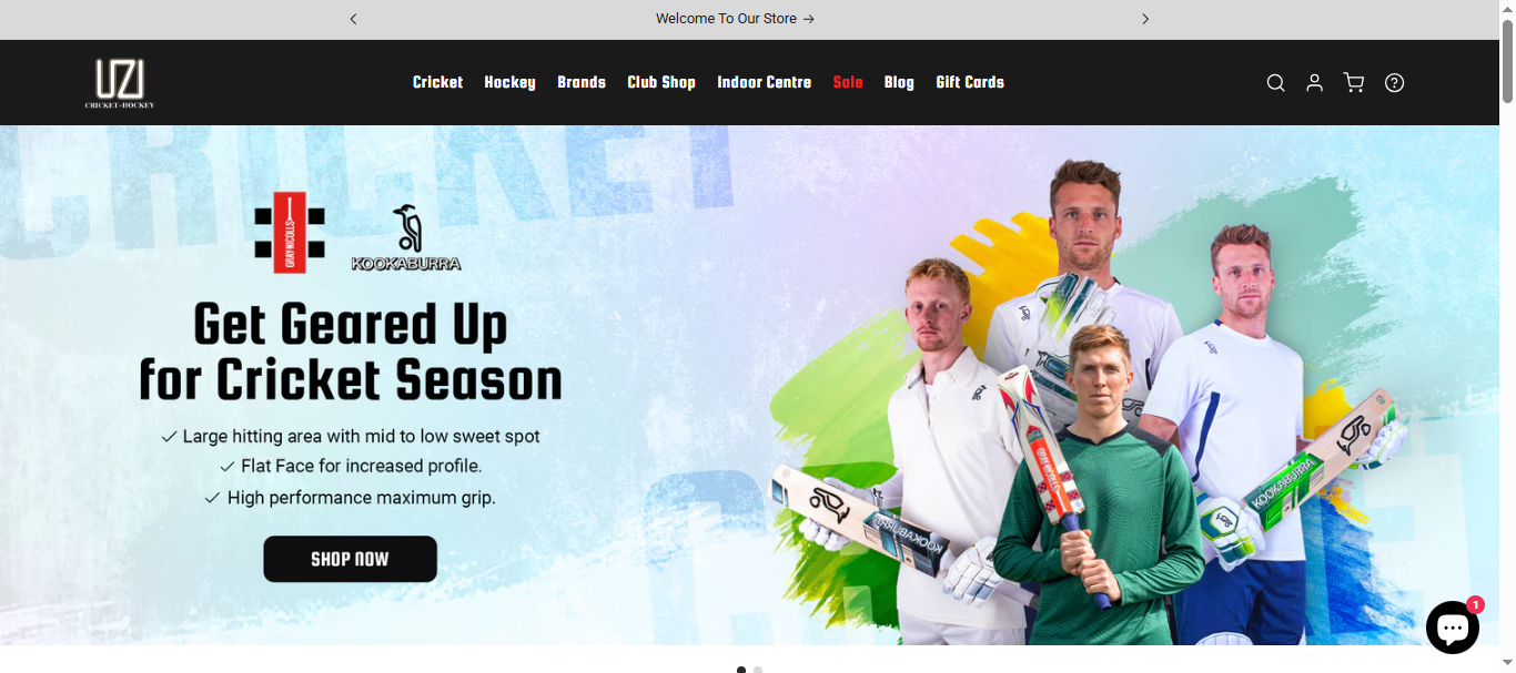 American Apparel Project